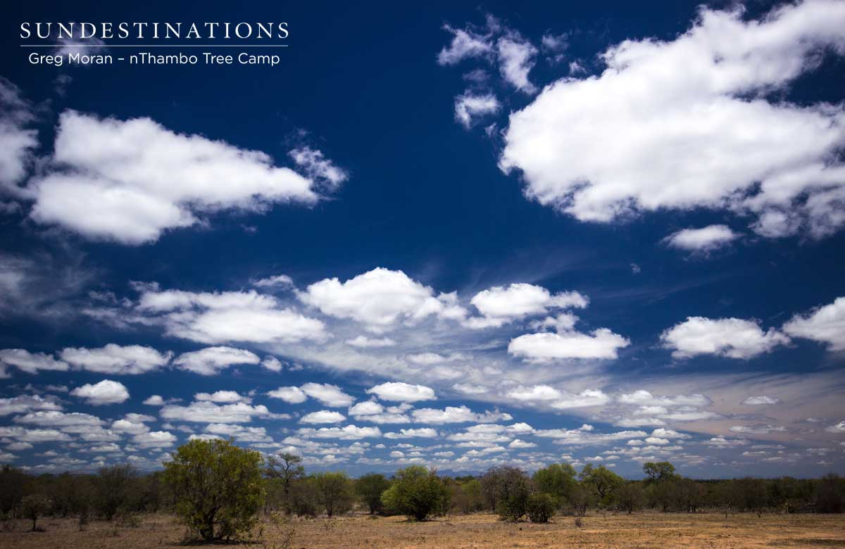 Endless Kruger Sky