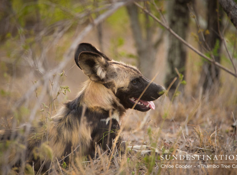 Top 3 Videos of the Week: Nature is in Control