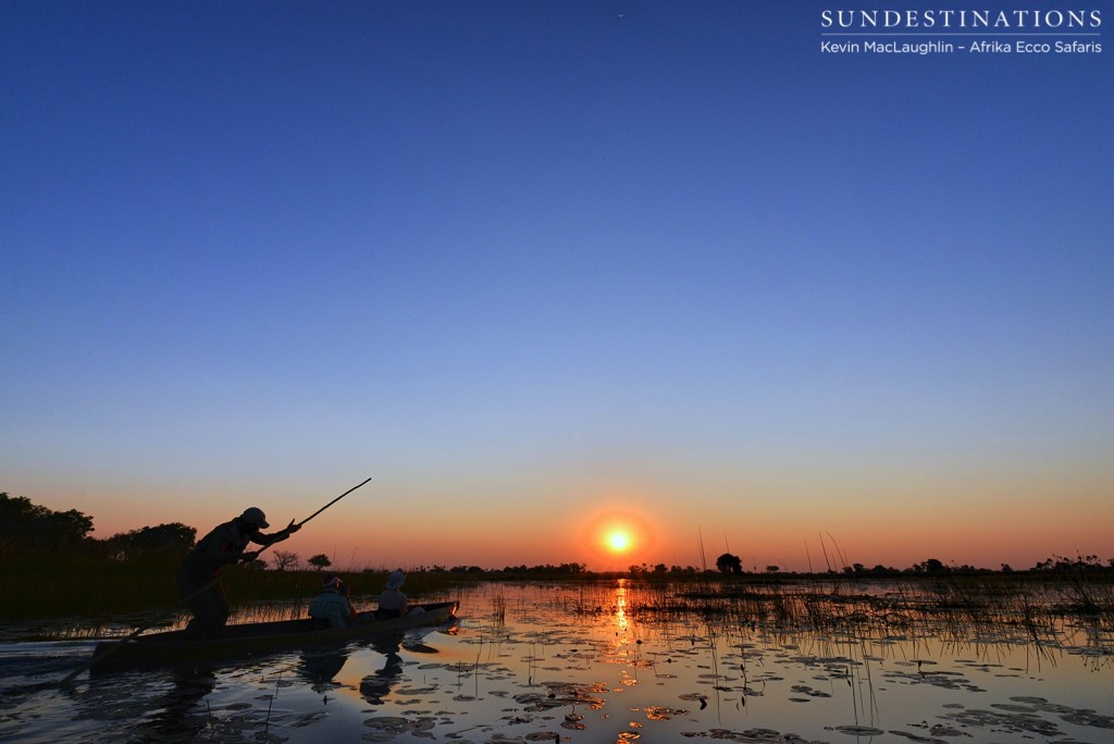 Taking a mokoro into the sunset with Afrika Ecco Safaris