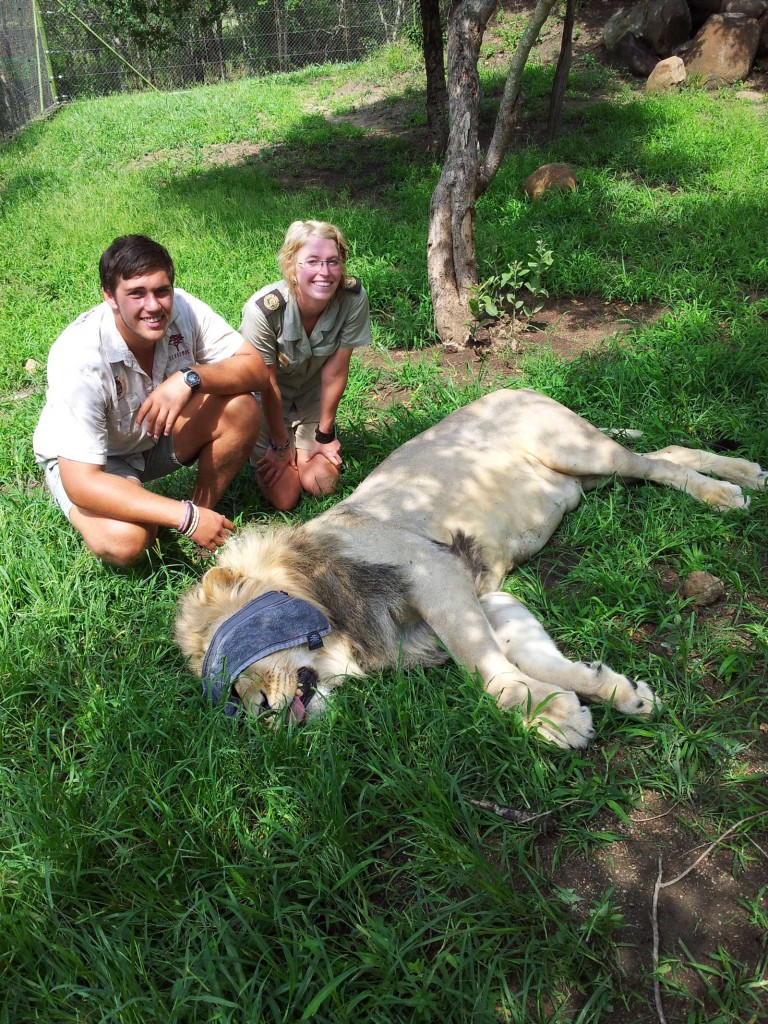 Licia and Marius working together at Hoedspruit Endangered Species Centre
