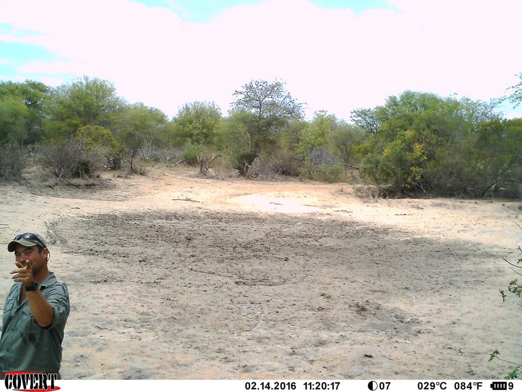 Luan, nThambo ranger, gives the camera a bit of attitude!