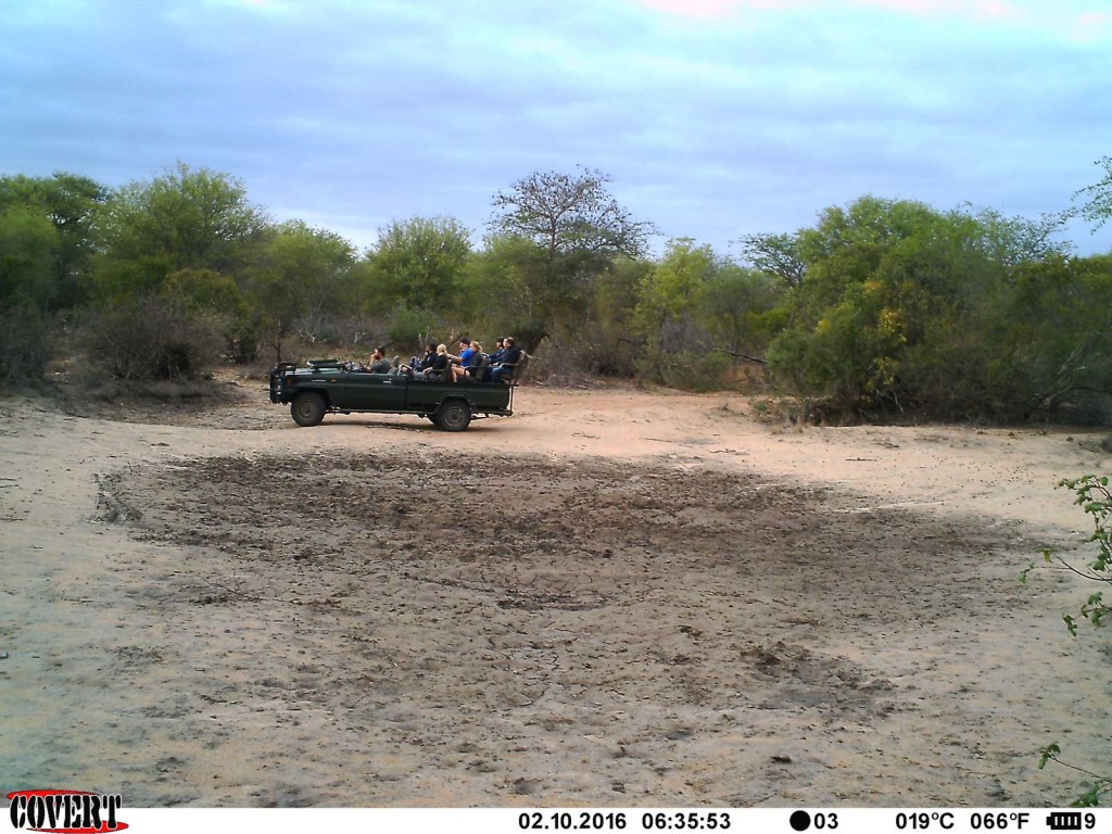 nThambo Tree Camp make an appearance at the pan, but no luck this time!