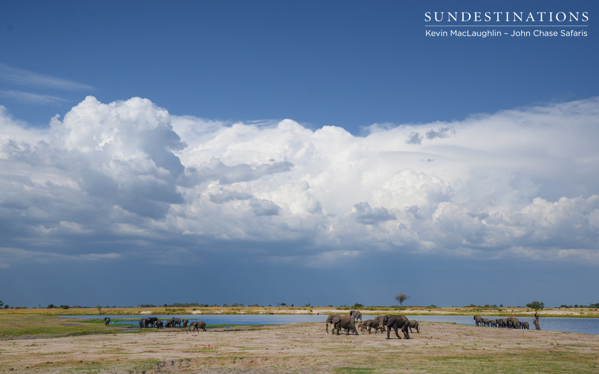 Botswana Landscape