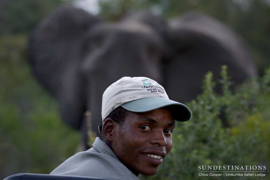 Tracker, Forward, smiles ahead of a large female elephant