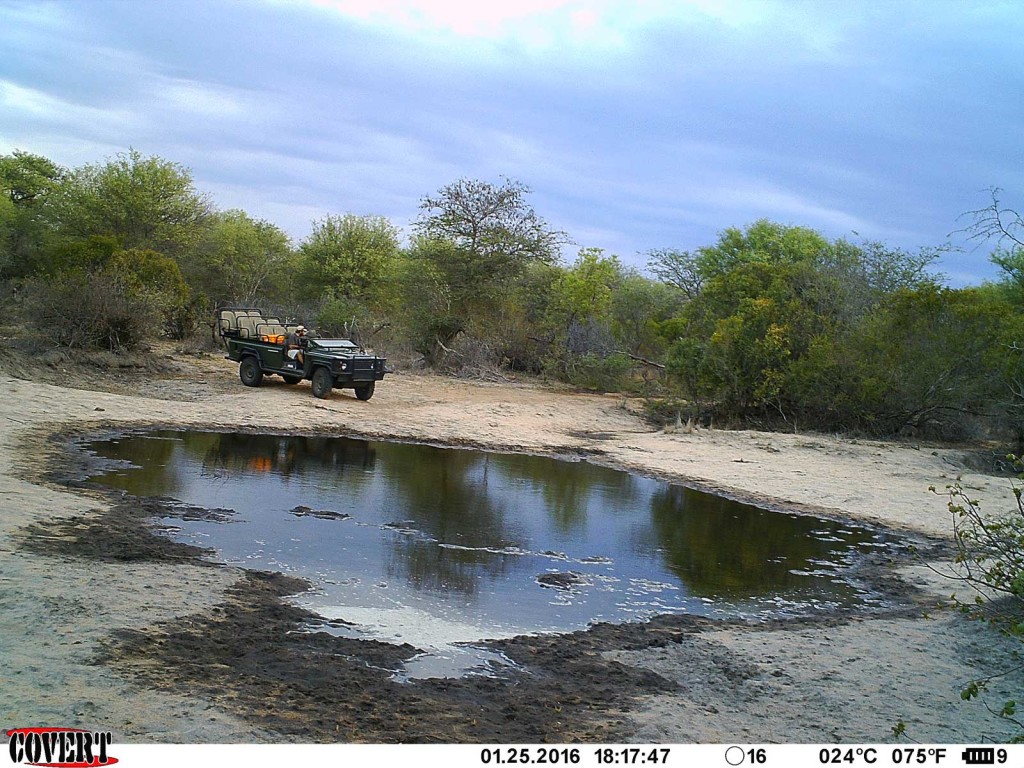Photographer, Kevin MacLaughlin, makes a turn at Sneaky Pan on his game drive route