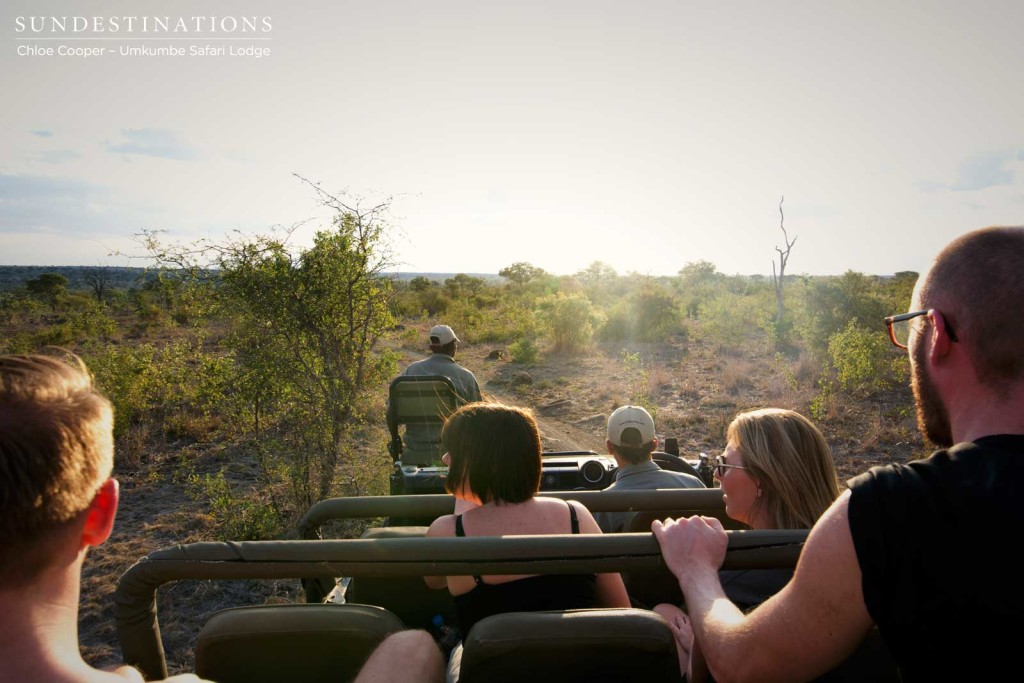 Cruising through the Sabi Sand in the hot afternoon