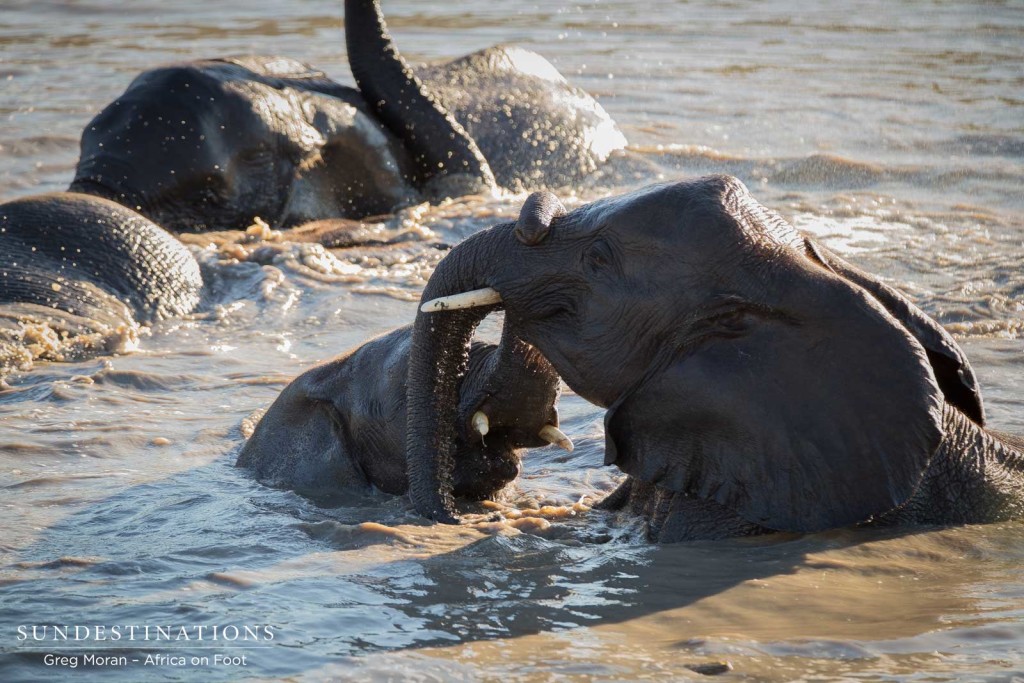 Youngsters playing around in the water