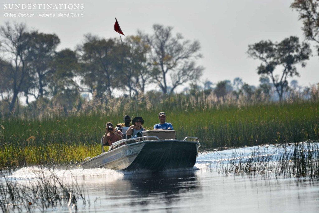 Cruising through the Delta