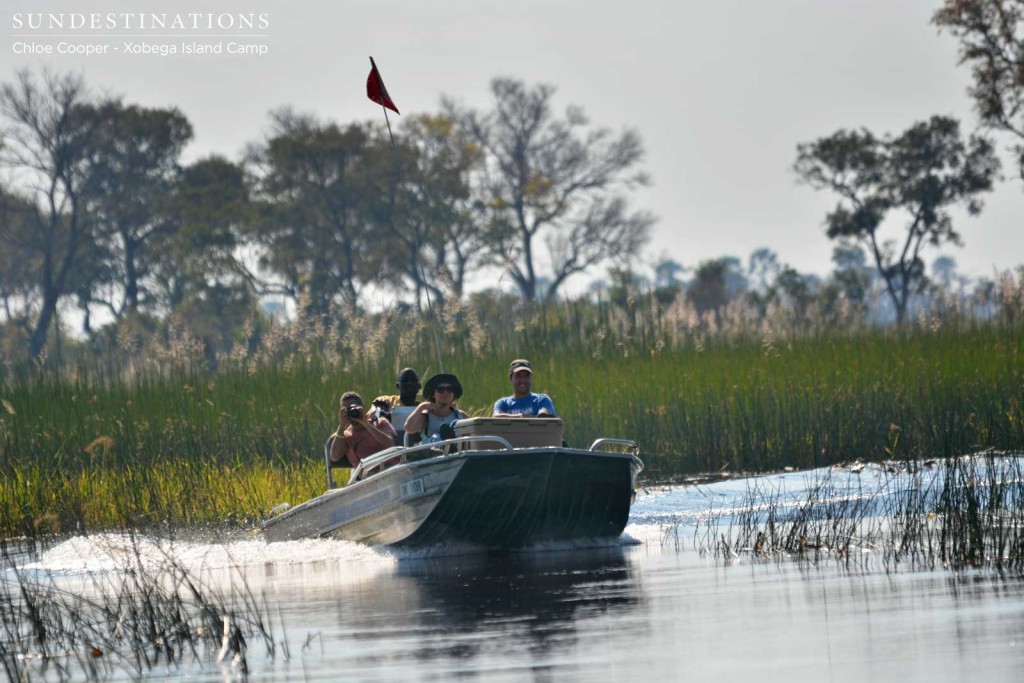 Cruising through the Delta