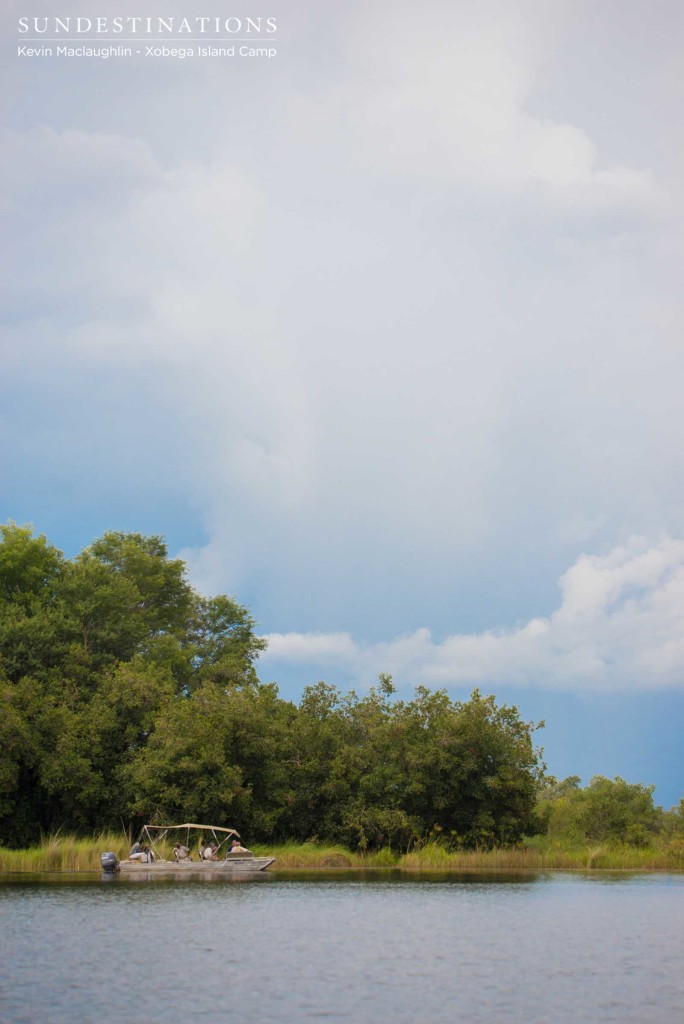 Departing from the tree-filled Xobega Island for a boat cruise in the Delta