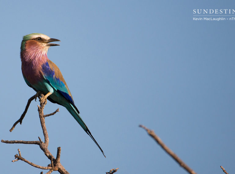 Week in Pictures: First Photo Delights of April