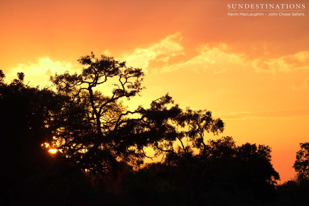 Chobe River sees the end of another day as the sun dips behind the trees and ignites the sky