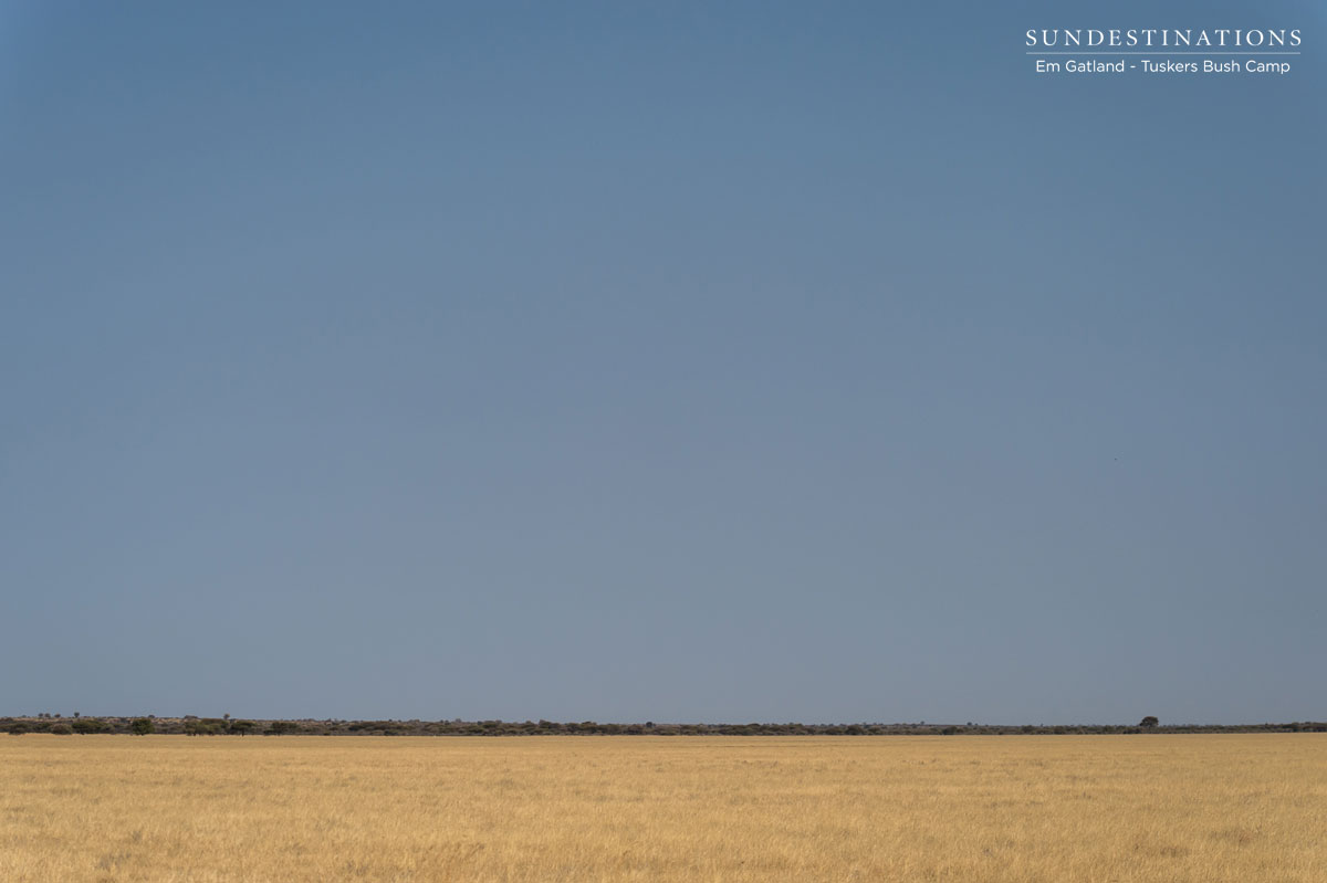 Botswana Sky