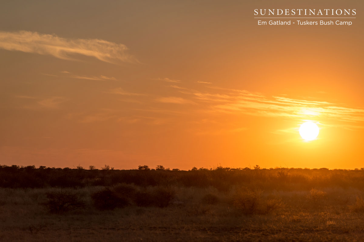 Botswana Sky