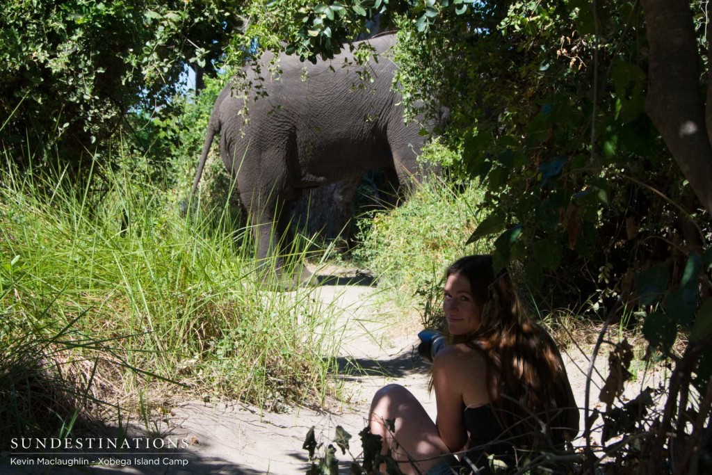 Guests sit an enjoy the moment an elephant arrives at their camp to feed