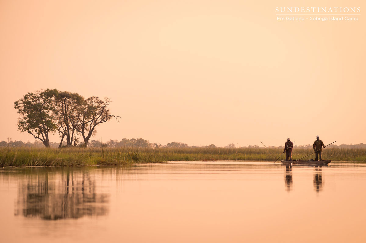 Okavango Delta sunset