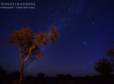 We’ve waxed lyrical about the sheer abundance of wildlife roaming throughout the Tuskers Bush Camp traverse. But there’s another dimension to going on safari in Botswana. Let’s not forget that while wildlife is the primary drawcard for visitors to Botswana, animals framed by blood orange sunsets and endless cornflower blue skies certainly amplifies their beauty. Tuskers Bush […]