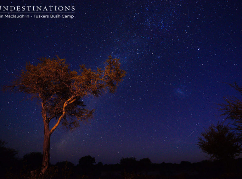 Tuskers Bush Camp: Sunsets and Skies