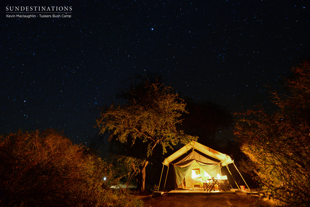 Tuskers at Night Botswana