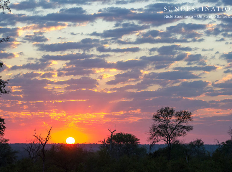 A Kaleidoscope of Colourful Skies While on Safari