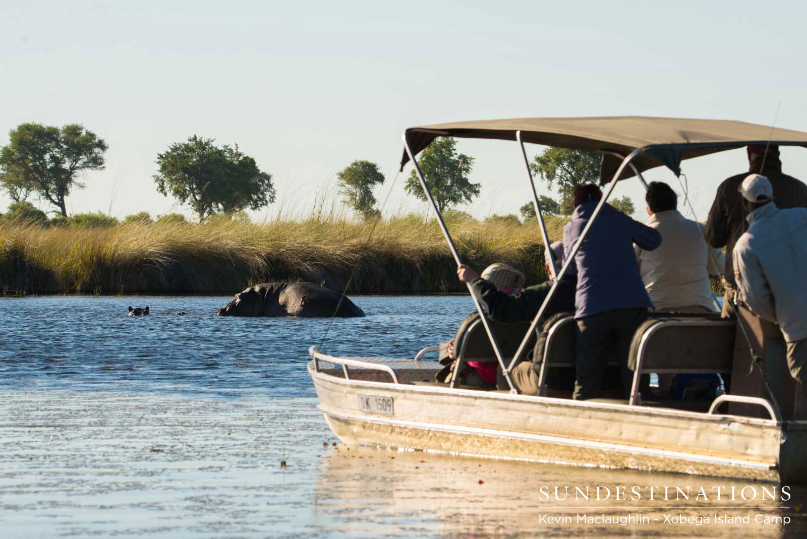 Xoebga Island Hippos