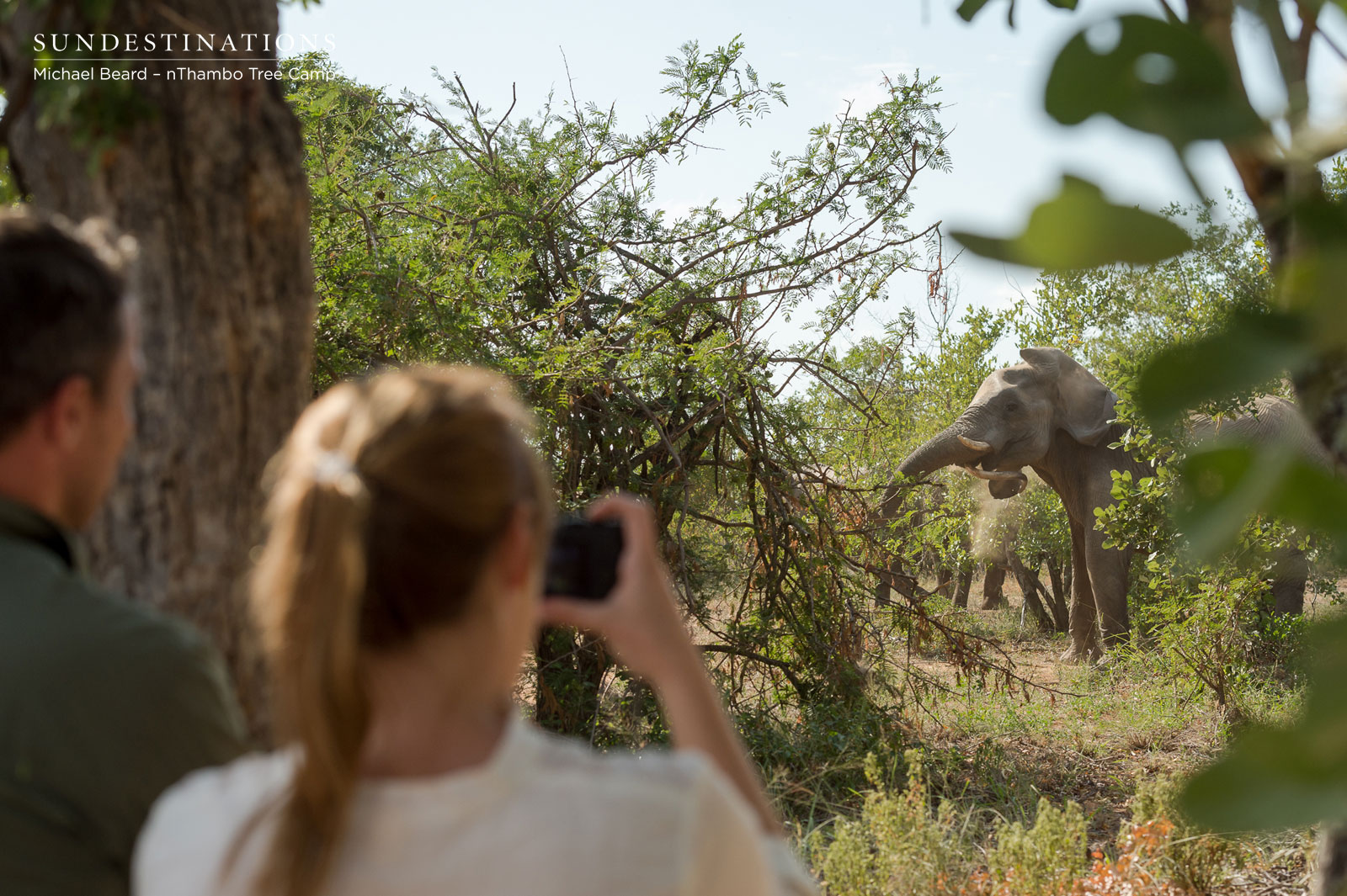 nThambo Walk with Elephants