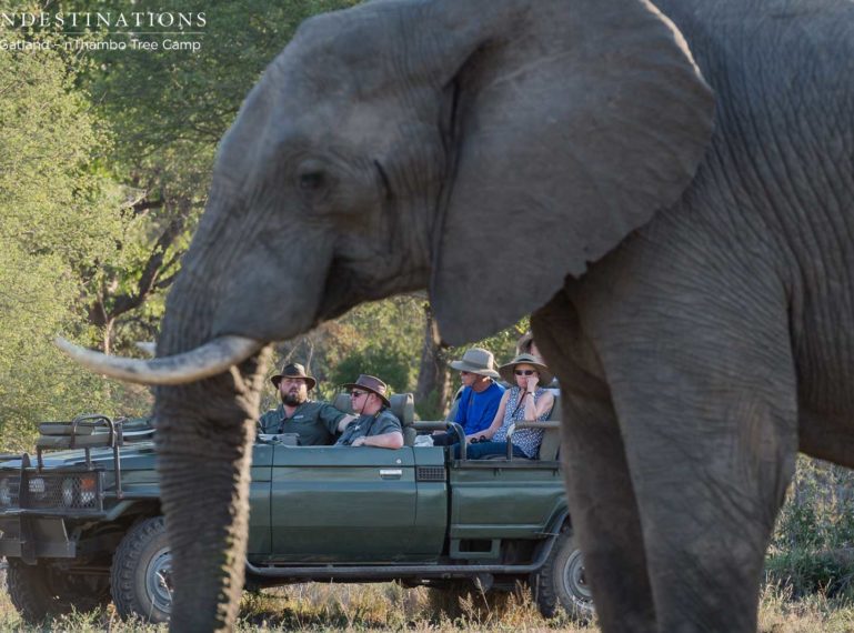 Klaserie Safari Time Lapse Video