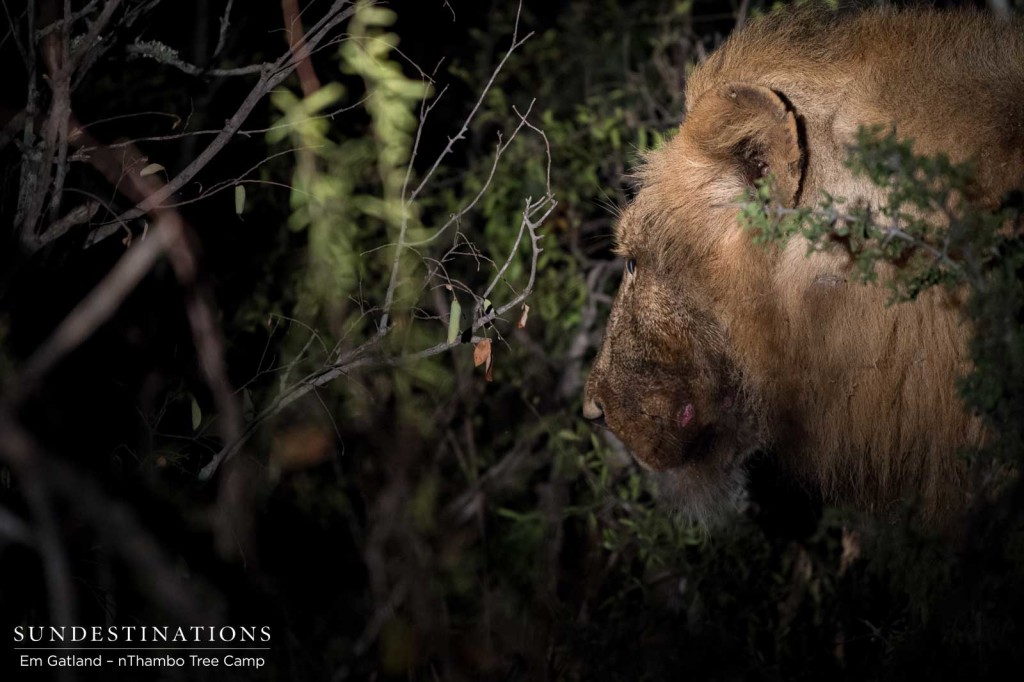 Mapoza male at buffalo kill