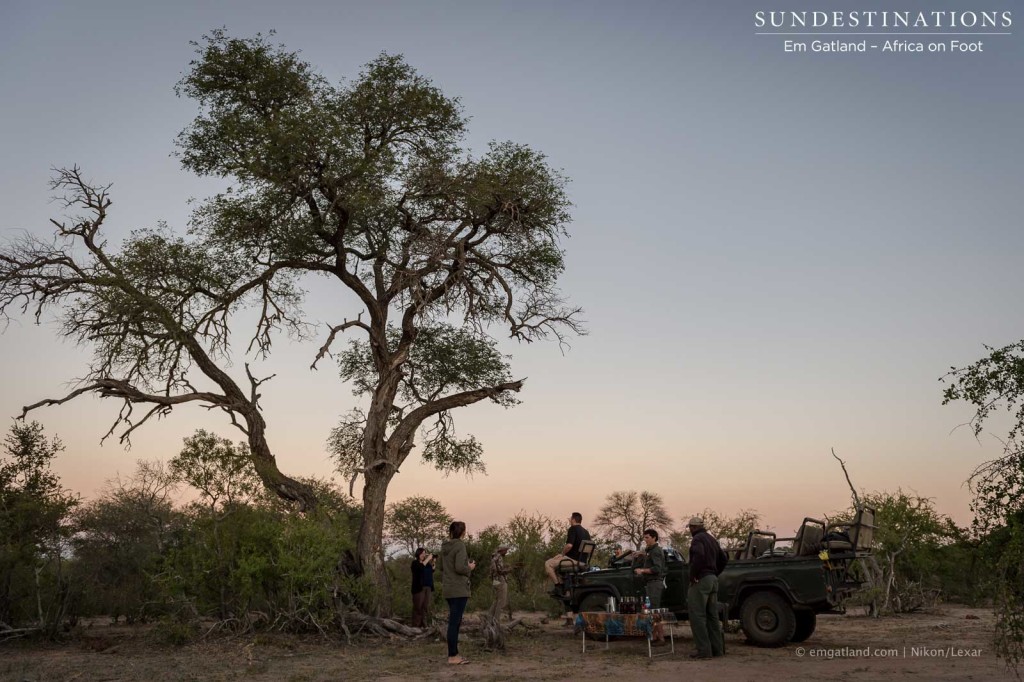 Africa on Foot game drive sundowners