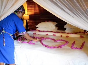 When you arrive at a safari lodge and think twice before jumping on the bed for fear of destroying the beautiful flower display, you know that care and thought have been put into your arrival. Linki Mdlovu is Umkumbe Safari Lodge’s Head of Housekeeping, and she is certainly one of those quietly celebrating the gorgeousness of […]