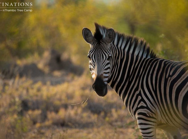 Week in Pictures: Colour By Nature