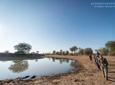 There are parts of Africa best explored by foot. Discovering the continent with nothing between your feet and the earth, transports you back to the beginning of time. However, it’s not always safe and possible to explore the spoils of this land by foot; unless you join Africa on Foot for a walking safari that will take you […]