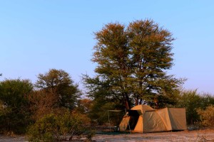 Afrika Ecco Safaris dome tents with canvas en suite bush bathrooms