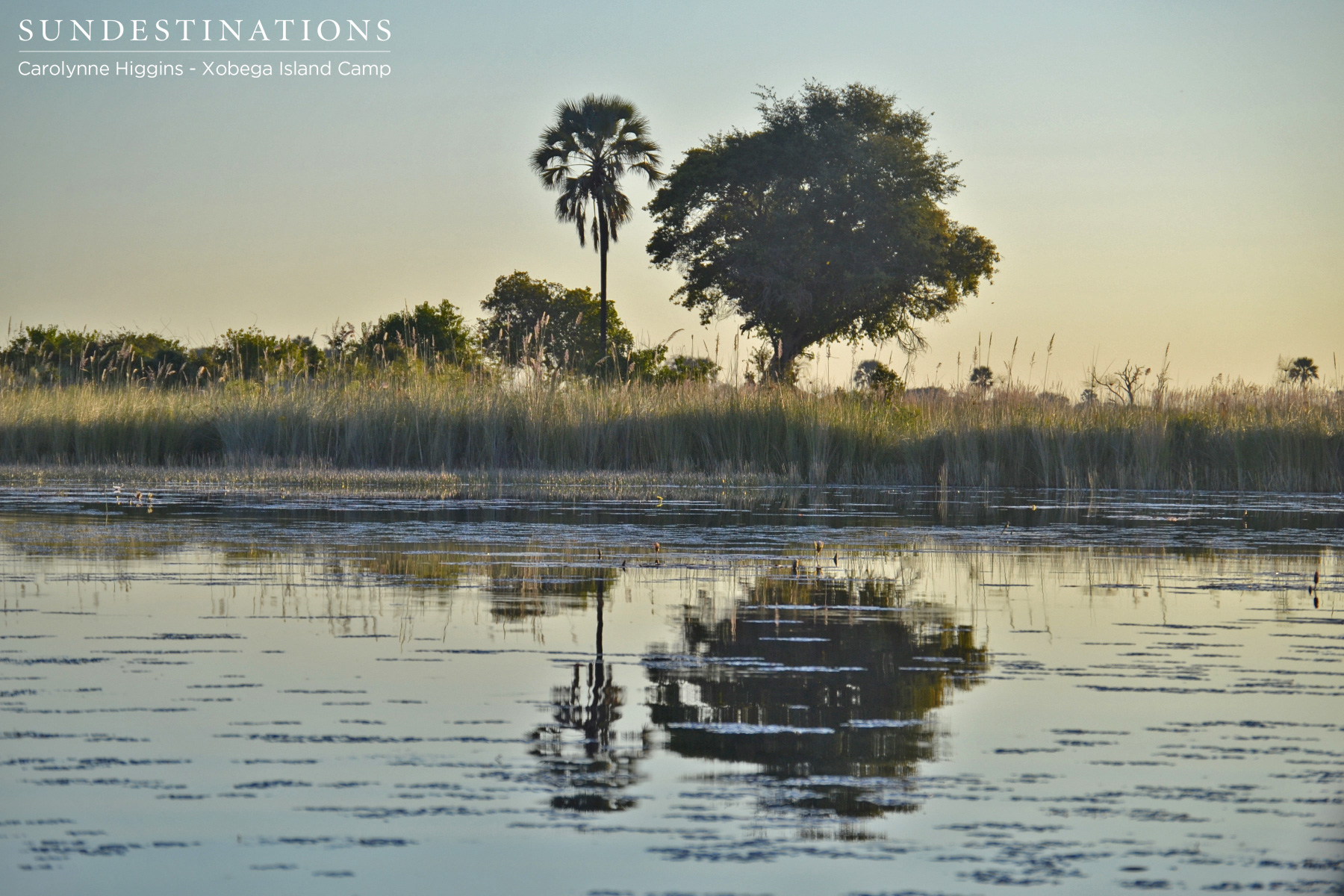 Okavango Delta Reflections