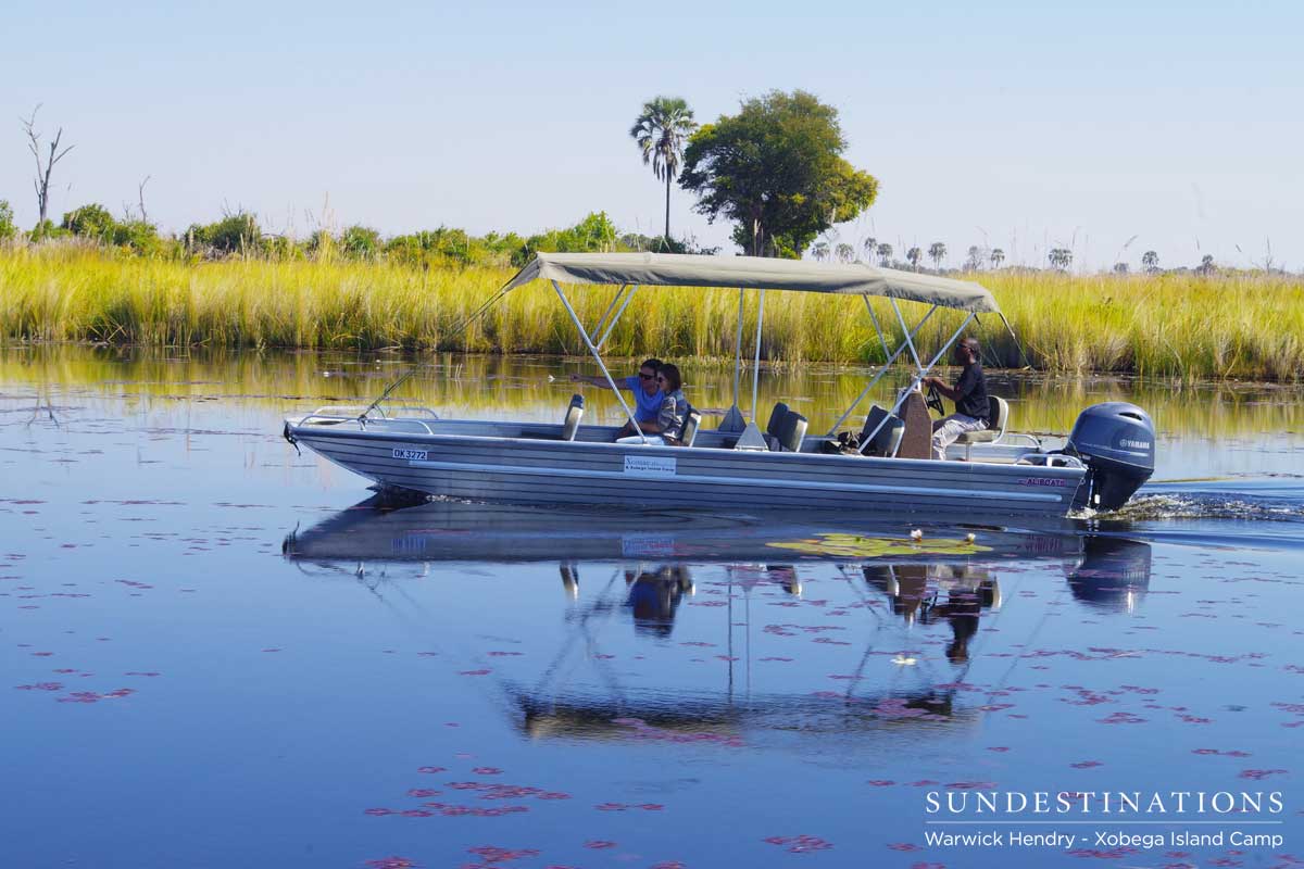 Xobega Boat Cruises the Delta