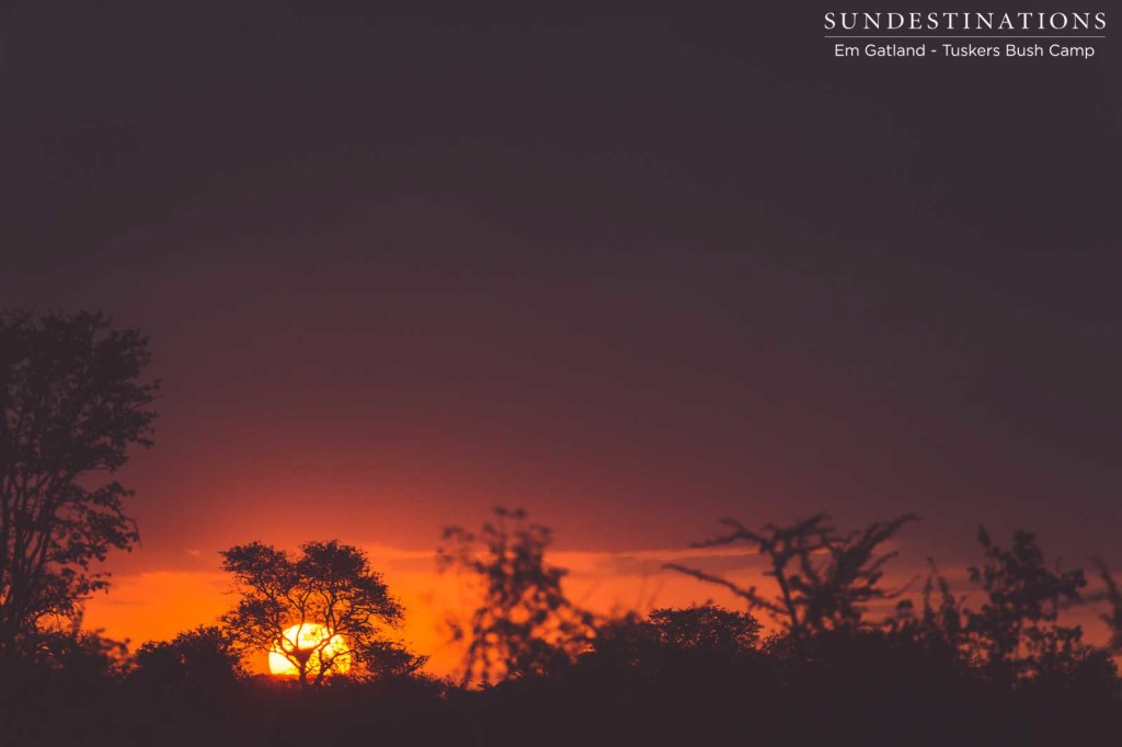 A lava-like sunset over the Tuskers private concession, bringing another day in the wild to a dramatic end