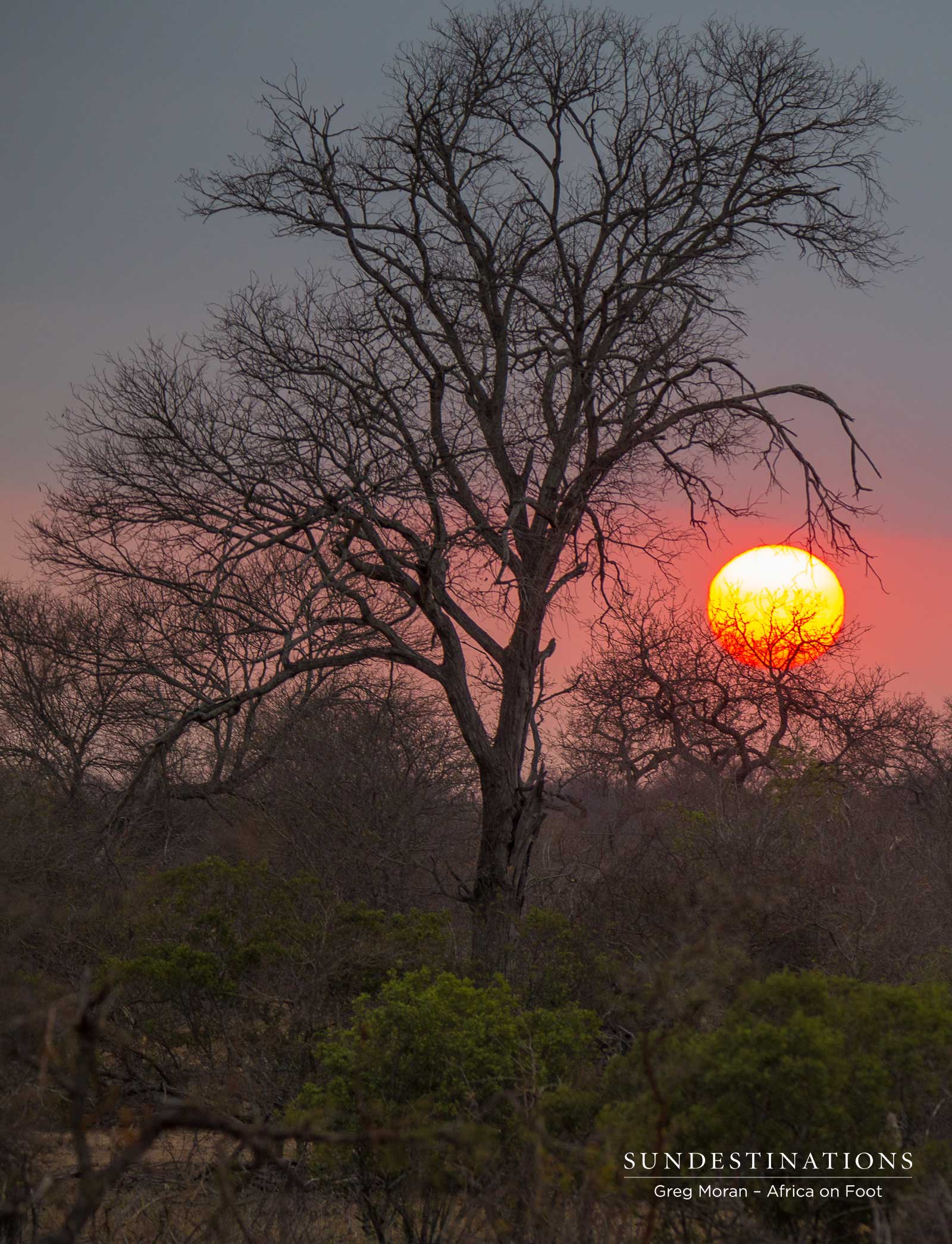 Sunset at Africa on Foot