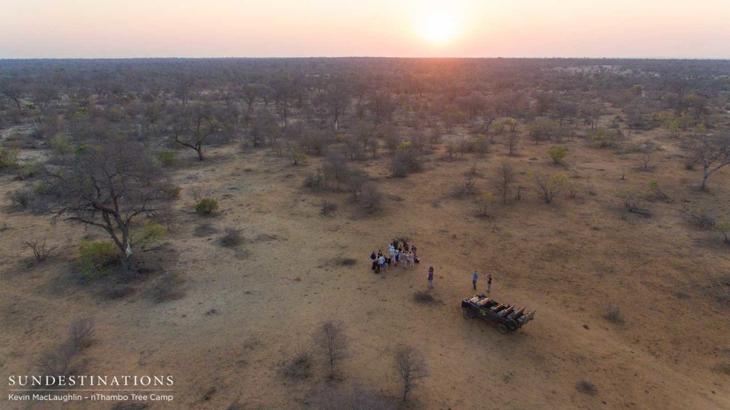 Wine tasting on safari with Africa on Foot and nThambo Tree Camp