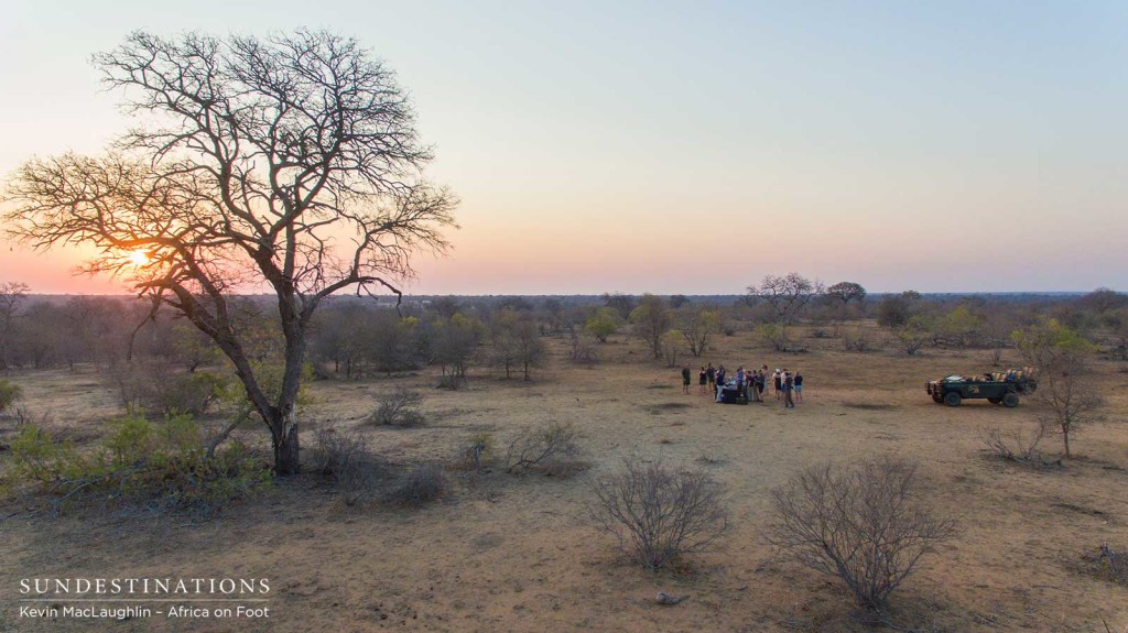 Wine tasting on safari with Africa on Foot and nThambo Tree Camp