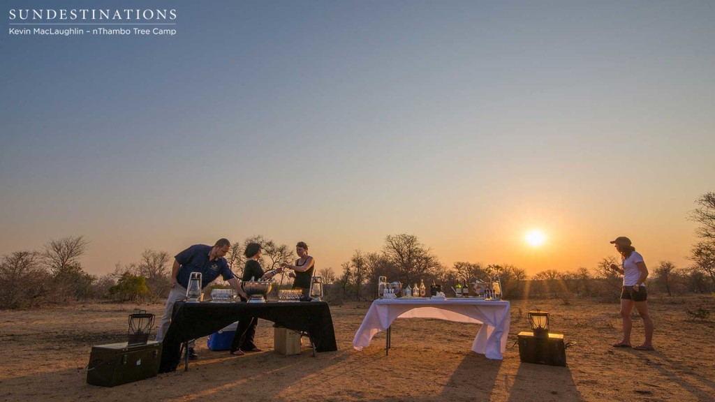 Wine tasting on safari with Africa on Foot and nThambo Tree Camp