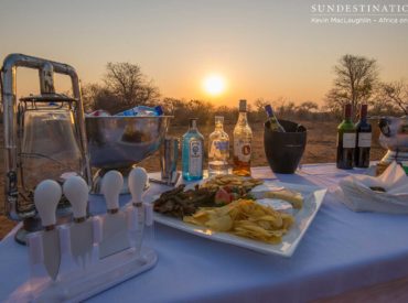 The combination of wine tasting and safari could possibly be the match made in heaven we’ve all been dreaming about. Packing a cooler box with your refreshment of choice is game drive protocol, but a wine tasting event on safari is nThambo Tree Camp and Africa on Foot’s idea of how to watch the sunset! […]