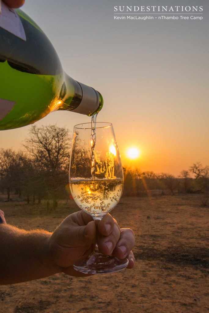 Wine tasting on safari with Africa on Foot and nThambo Tree Camp