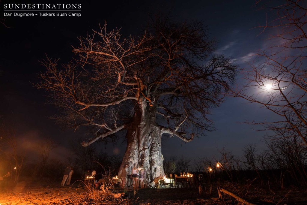 Baobab bush dinner at Tuskers Bush Camp