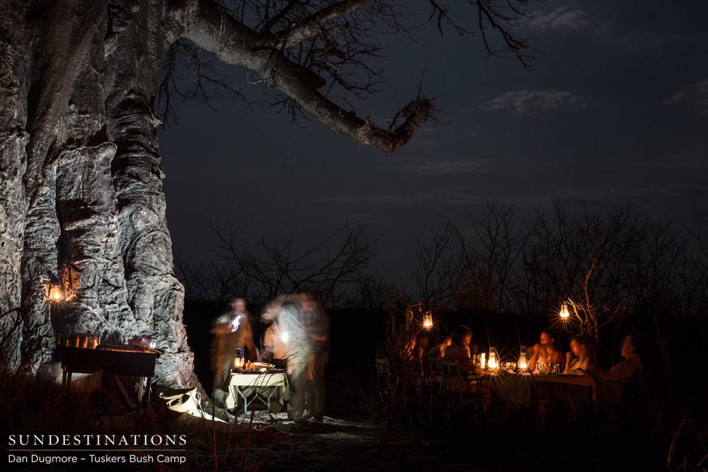 Baobab bush dinner at Tuskers Bush Camp