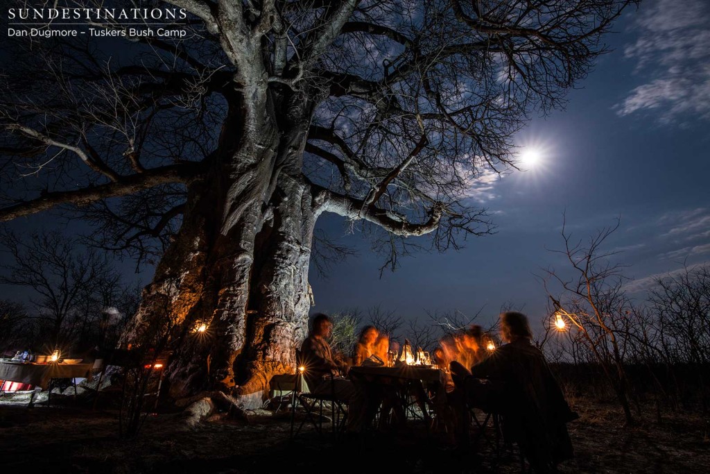 Baobab bush dinner at Tuskers Bush Camp