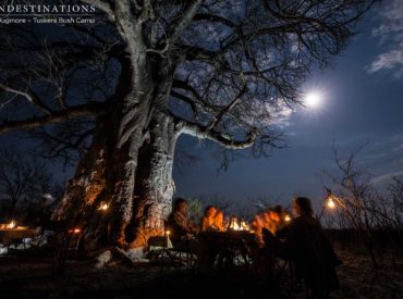 Botswana is known as the land of giants, not only due to its abounding elephants, which occupy Chobe National Park in vast numbers, but also as a namesake to the ancient baobab trees, which bury their roots in some of the country’s most special places. Somewhere along the hidden pathways, and through the ebb and flow of […]