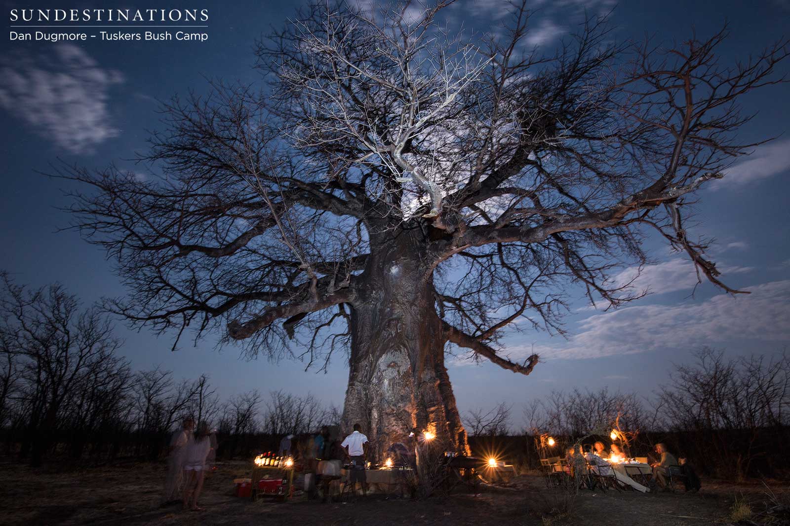 Baobab bush dinner at Tuskers Bush Camp