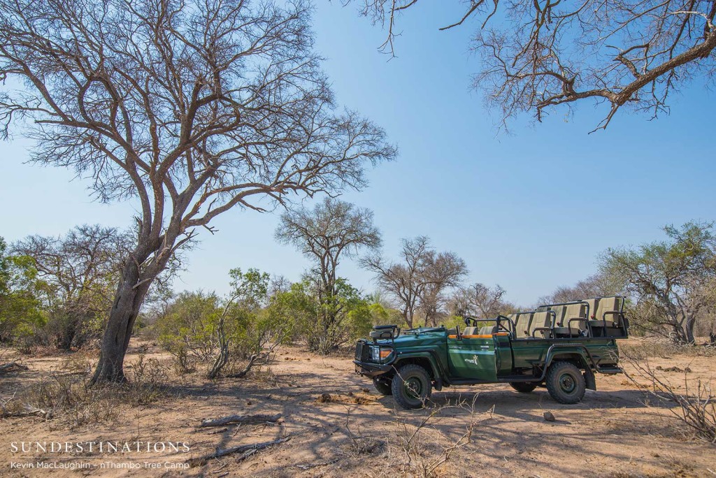 New Cruiser for nThambo Tree Camp