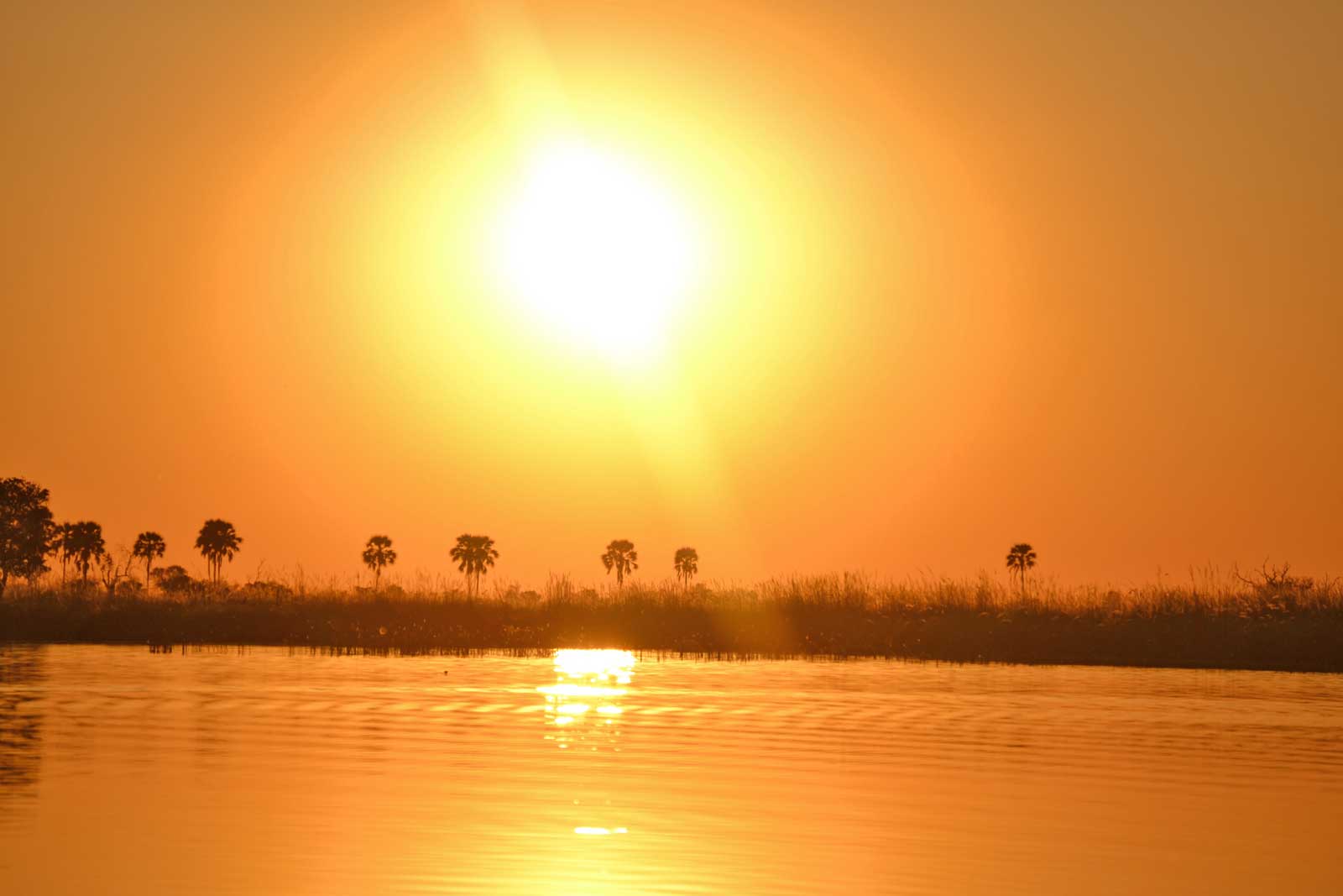 Okavango Delta Sunset