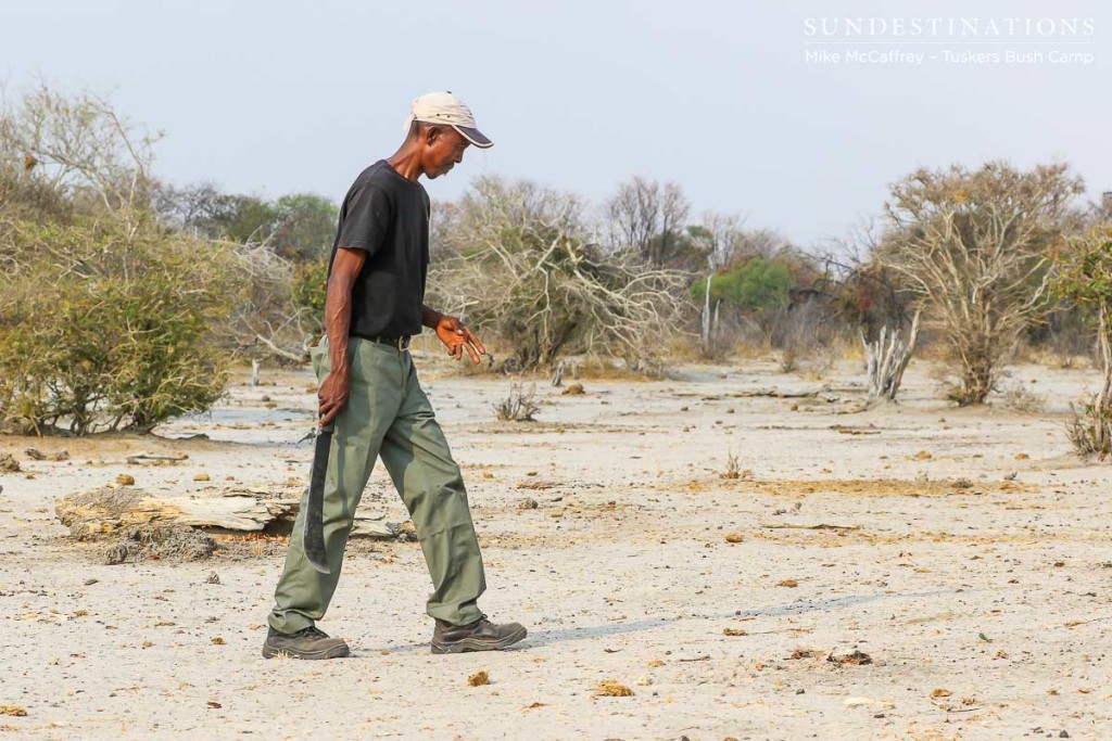 Tracking at Tuskers Bush Camp